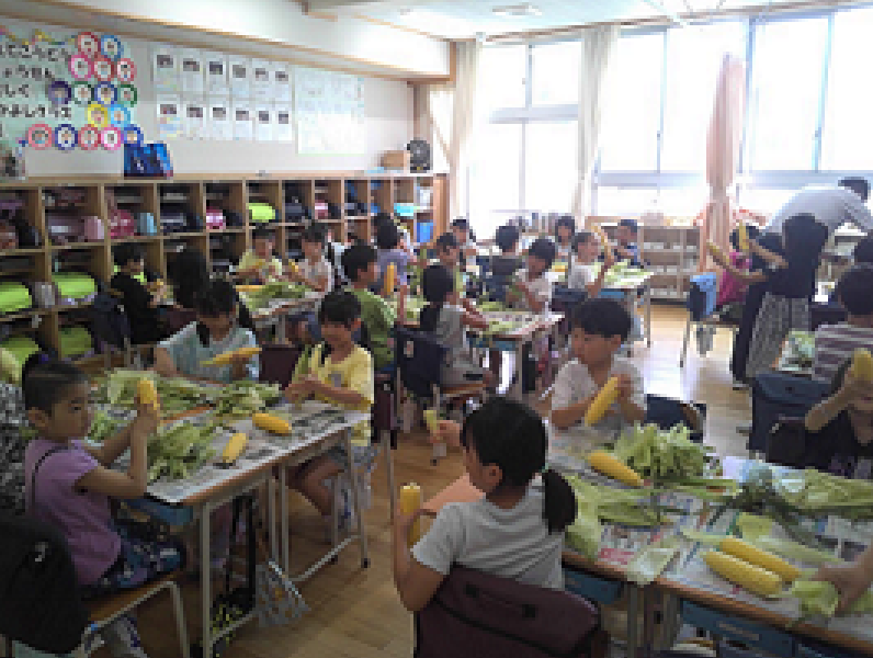 ２－１　とうもろこしの皮むき