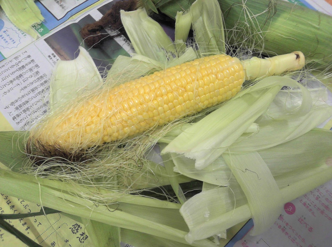 とうもろこし