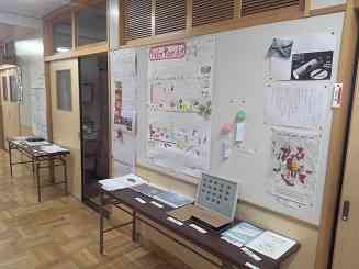 IMG_20250905_164352